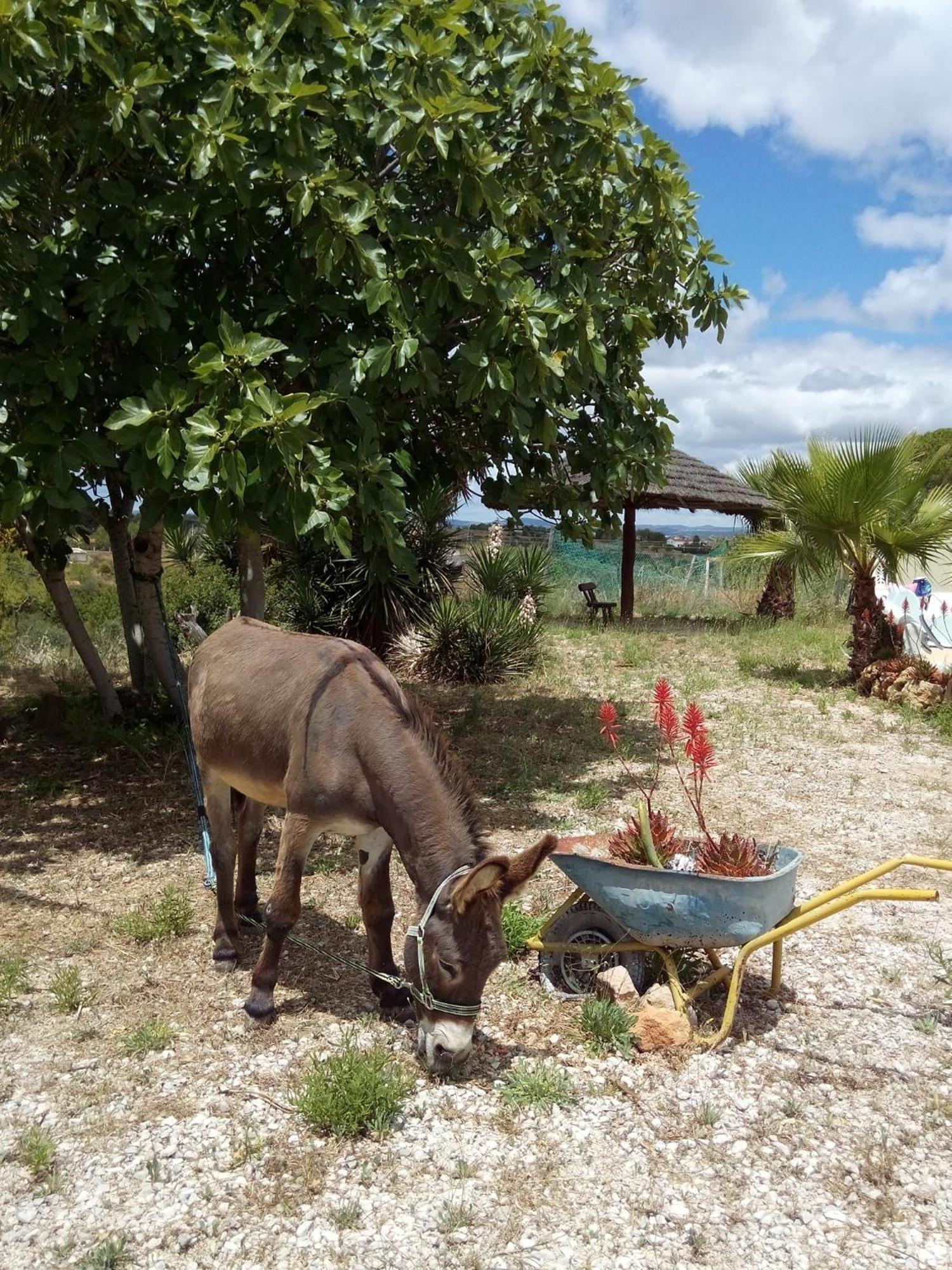 Monte Das Areias Casa De Campo/Passadico/Pateo/Rampa ปอร์เชส ภายนอก รูปภาพ